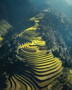 an aerial view of rice terraces in the mountains, with sunlight shining down on them