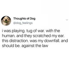 a tweet with a dog on it's face and the caption that says, thought of dog