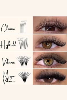 Type Of Lashes Extension, Lash Extension Inspiration, Lashes Types, Different Types Of Lashes, Types Of Lashes, Types Of Eyelash Extensions, Extensions Lashes