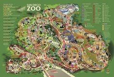 the san diego zoo map is shown in green and has lots of animals on it