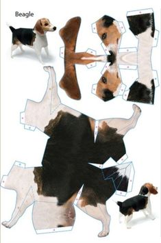 an image of dogs cut out from paper with the words beagle written below them