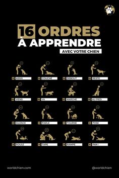 a poster with different types of people doing exercises