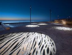 the sun is shining down on some zebra skin in front of an ocean view at night