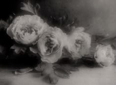 black and white photograph of flowers on table