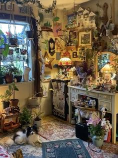 a living room filled with lots of plants and pictures