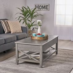 a living room with a gray couch, coffee table and potted plant in it