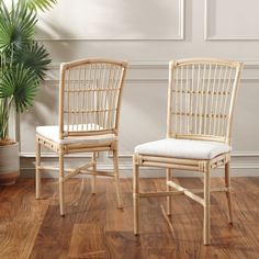 two chairs sitting next to each other on top of a hard wood floor in front of a potted plant