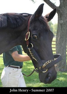 a man standing next to a horse wearing a bridle and halter on it's head