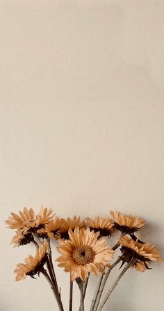 a vase filled with yellow flowers sitting on top of a wooden table next to a white wall