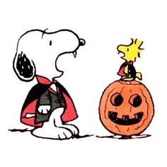 a charlie brown pumpkin and snoop the dog