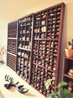 there are many pairs of shoes on the table in front of this display case that is filled with shells