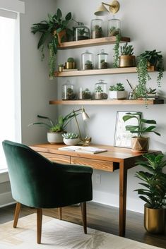 a desk with some plants on it in front of a window and shelves filled with potted plants