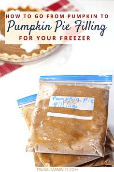 how to go from pumpkin to pumpkin pie filling for your freezer and save money