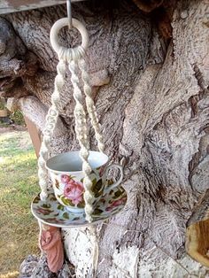 a cup and saucer hanging from a tree branch with ropes attached to the base