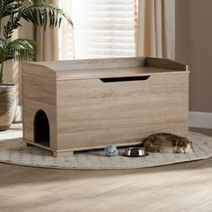 a cat laying on top of a wooden box next to a potted plant in a living room