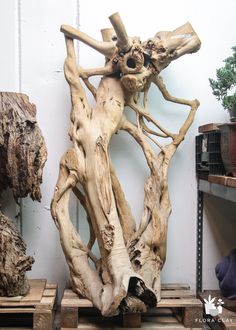 a sculpture made out of driftwood in a room