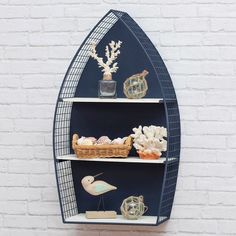 a shelf that has some sea shells on it and other items in front of it