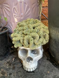 a skull planter sitting on top of a cement slab