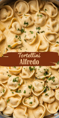 tortellini alfredo in a pot with parsley on top and the words tortellini alfredo above it