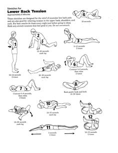 the instructions for how to do an exercise