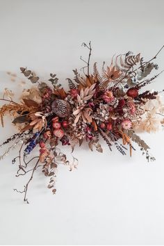 an arrangement of dried flowers and leaves on a white background