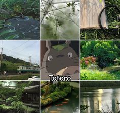 many different pictures with the words totoro on them and in front of some water