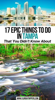 17 Epic Things to do in Tampa That You Didn't Know About Tampa Theatre, Tampa Riverwalk, Florida Aquarium, Adventure Island, Ybor City, Tampa Bay Area, Busch Gardens