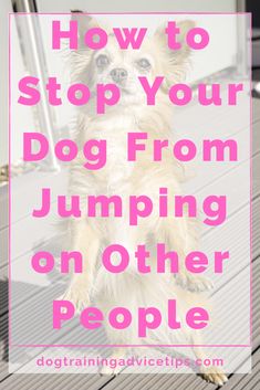 a dog standing on its hind legs with the words how to stop your dog from jumping on other people