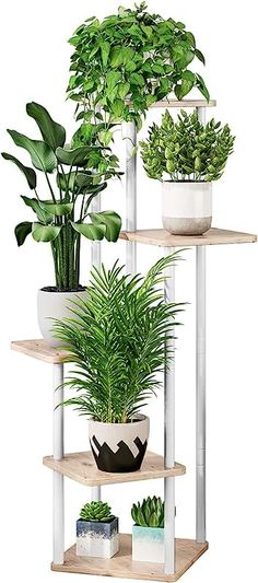 three tiered plant stand with plants on each shelf and two potted plants in the middle