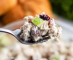 a close up of a spoon with food on it