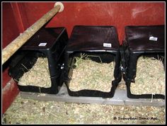 three new nesting boxes in the coop with hay inside and two empty bins next to them