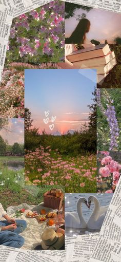 a collage of photos with flowers, books and swans in the grass at sunset