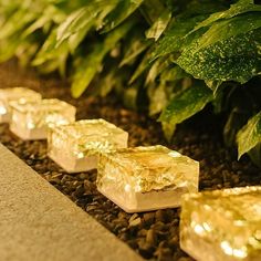 some ice cubes that are sitting on the ground in front of plants and rocks