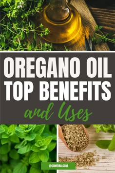 A trio of images showing different forms of oregano: a pile of dried oregano, a small amber glass bottle of oregano oil with a dropper, and a bunch of fresh green oregano leaves. Benefits Of Oil Of Oregano, Oil Of Oregano Benefits, Benefits Of Oregano, Black Seed Oil Benefits, Oil Of Oregano, Oregano Oil Benefits, Boosting Immunity, Black Pepper Oil, Oregano Essential Oil