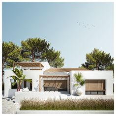 an artist's rendering of a modern house with trees in the background and grass on the ground