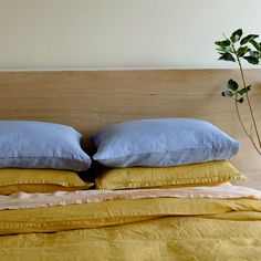 a bed with blue and yellow pillows on it's headboard next to a potted plant