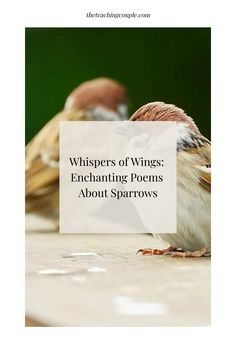 two birds sitting on top of a table with the words whispers of wings exhausting poem about sparrows