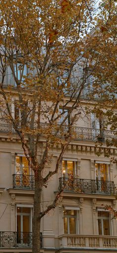 an apartment building with balconies and trees in the foreground