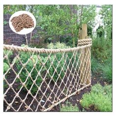 an image of a rope fence in the yard with plants and bushes around it,