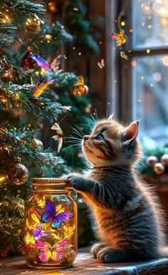 a kitten reaching up to a jar with butterflies on it next to a christmas tree