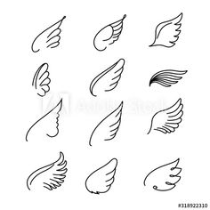 hand drawn wings on white background, set of nine different shapes and sizes for design