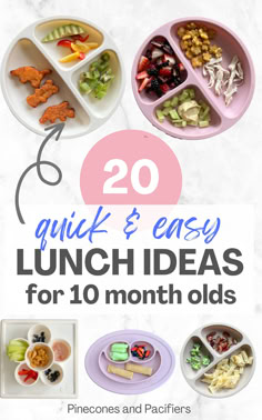 20 quick and easy lunch ideas for 10 month olds - pinnables and platters