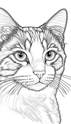 Warrior Cats Coloring Pages, Art Sketches Cat, Drawing Outlines Sketch, Cat Drawing Simple, Realistic Cat Drawing, Simple Cat Tattoo, Page Drawing, Simple Cat Drawing, Black And White Cats