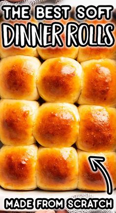 the best soft dinner rolls made from scratch