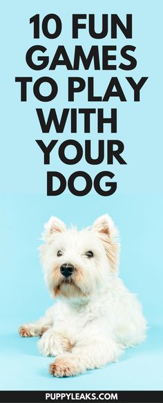 a white dog laying down with the words 10 fun games to play with your dog