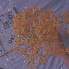 a person holding a bunch of flowers in their hand with glitters on the ground