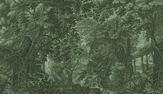 an image of a forest scene with trees and bushes in the foreground, on a green background