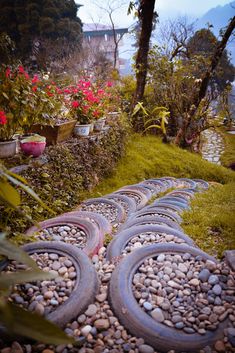 several tires are lined up on the ground in front of some plants and flowers,