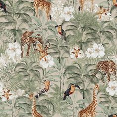 a wallpaper with giraffes, zebras and other animals in the jungle