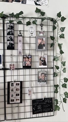 there are many pictures on the wall with vines growing up it and hanging from the wire